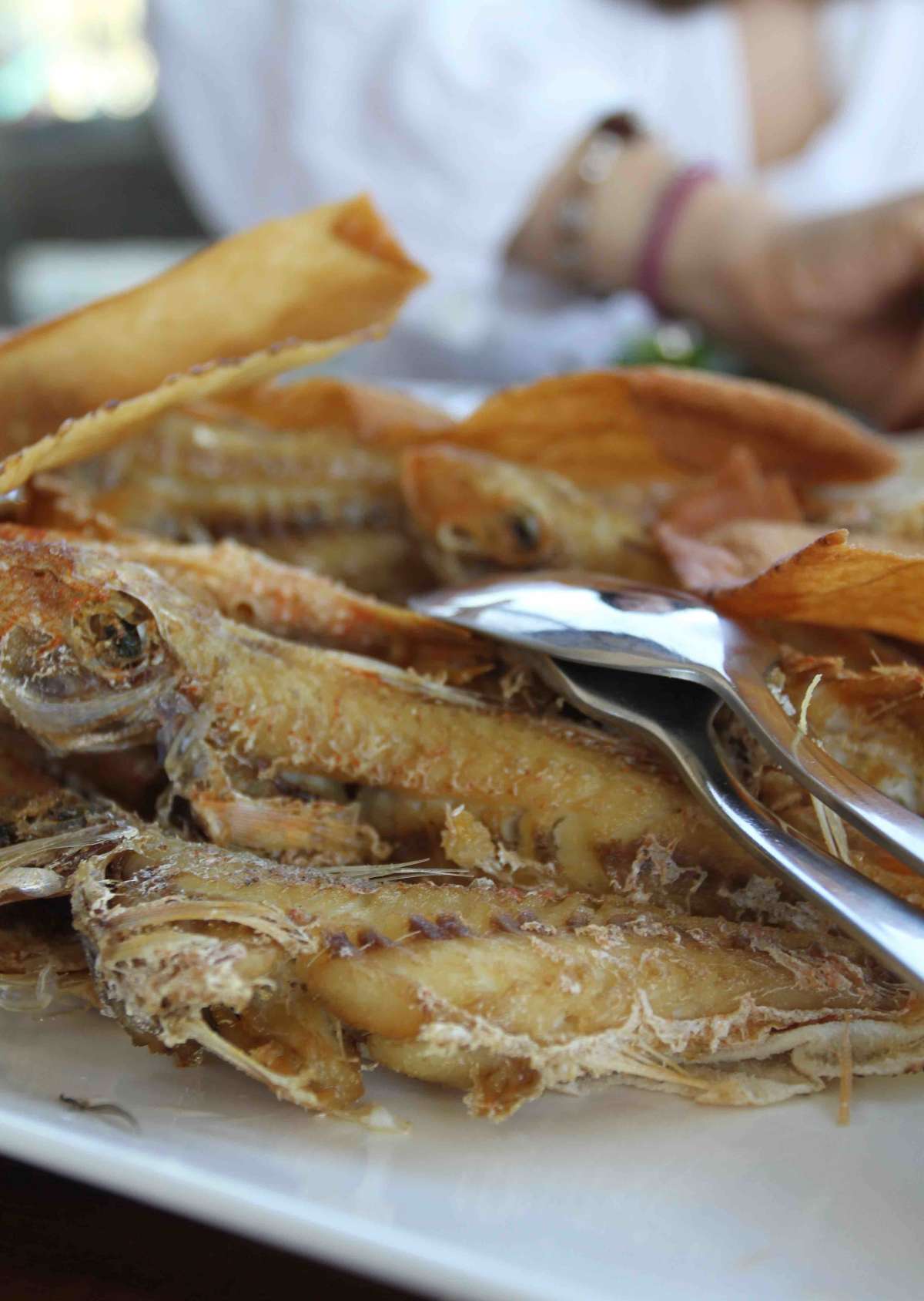 Locally caught Malifa fish