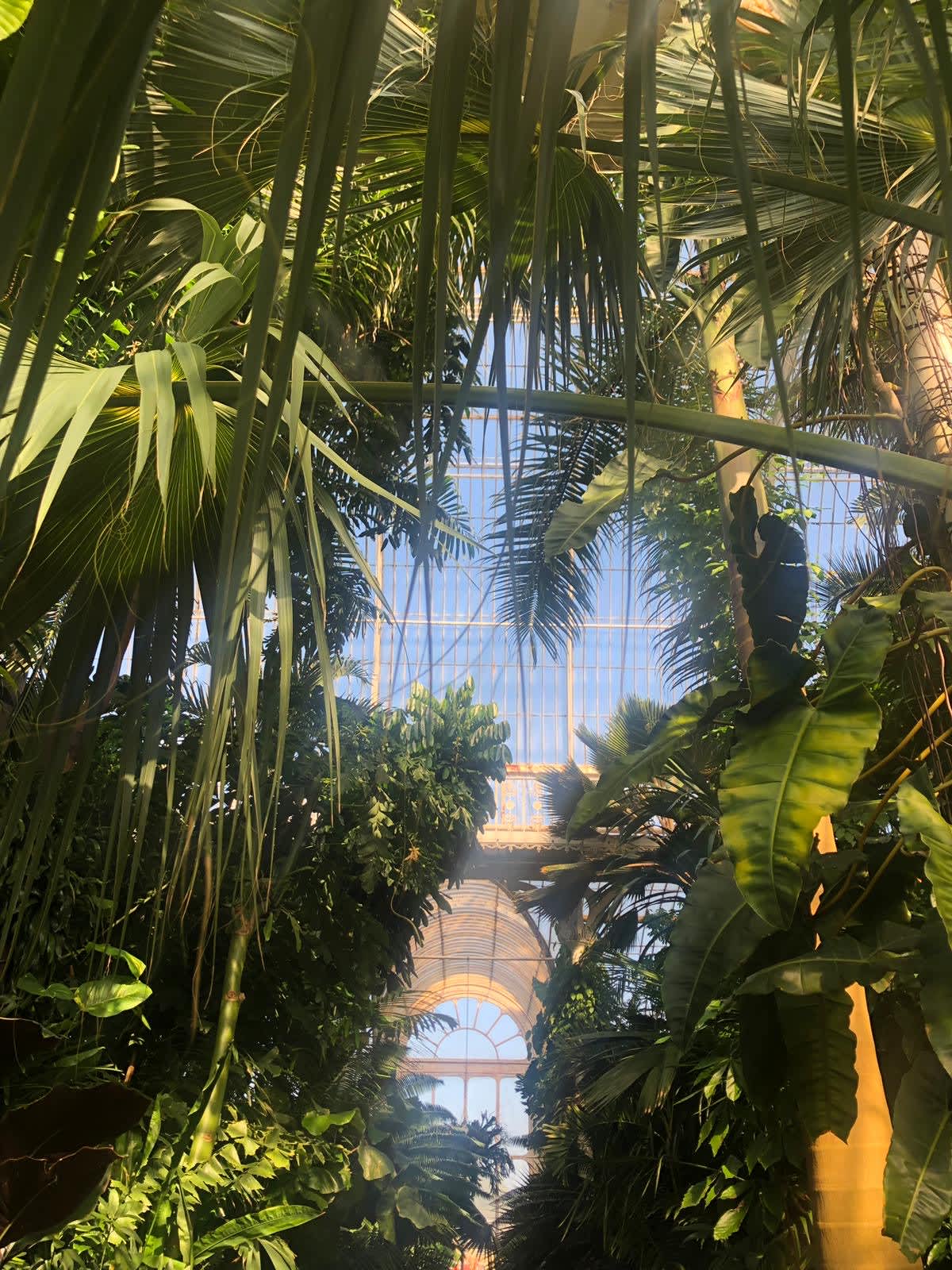 beautiful interiors inside the Princess of Wales Conservatory