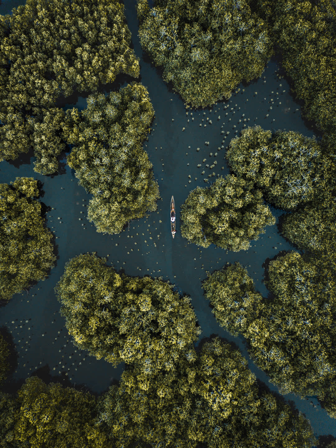 Drone shot from our boat ride