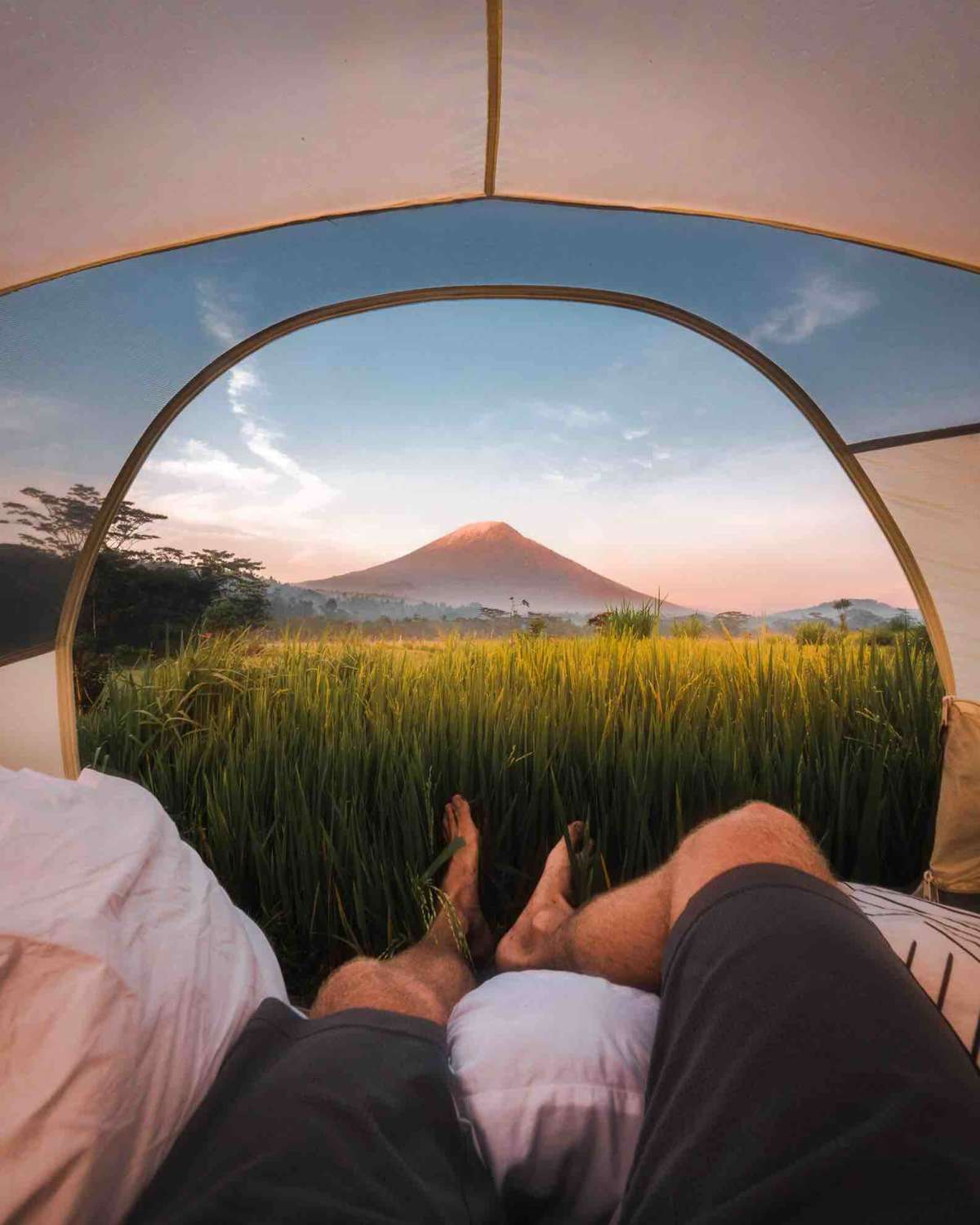 Sunrise in a ricefield overlooking the majestic Mt. Agung