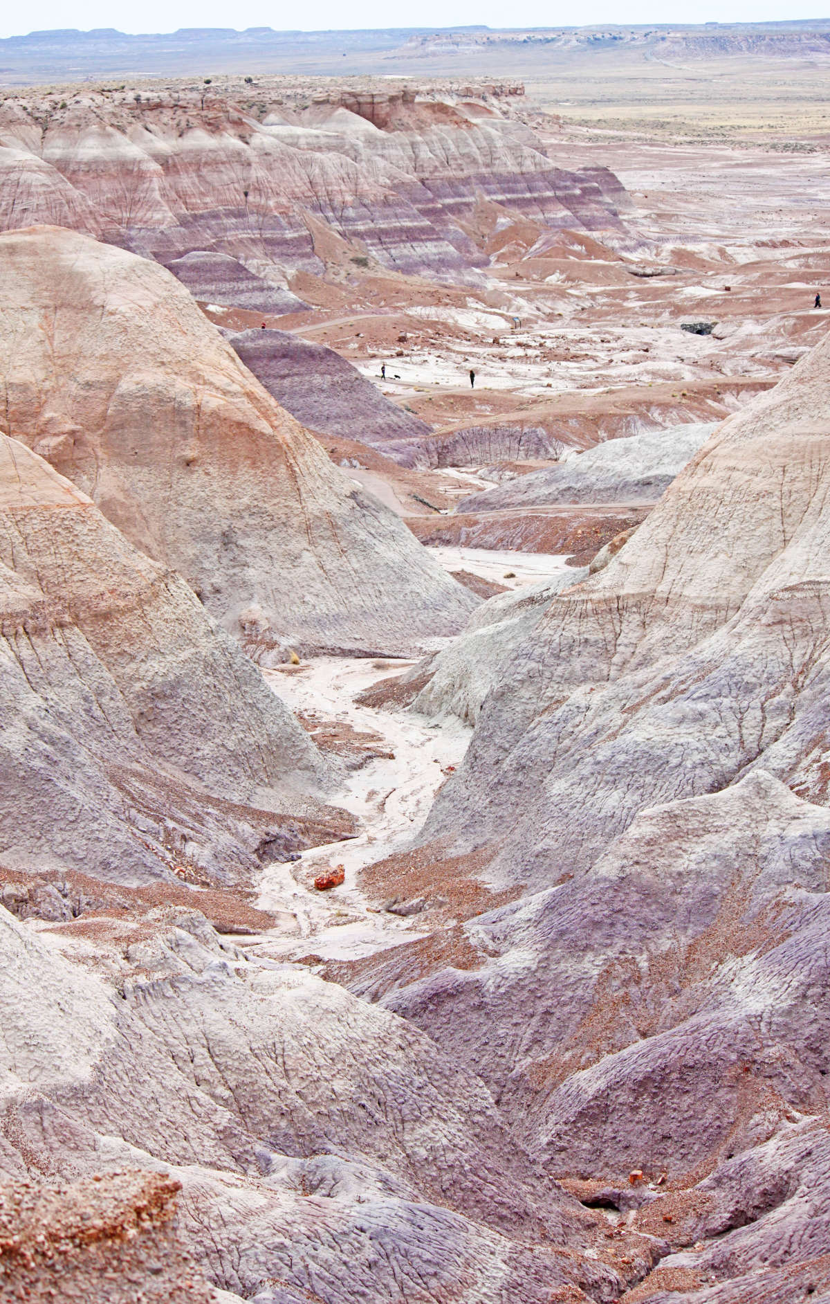 Blue Mesa Trail in the Petrified National Forest