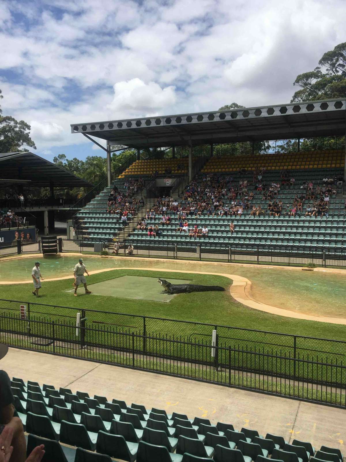 Croc show at the Crocoseum