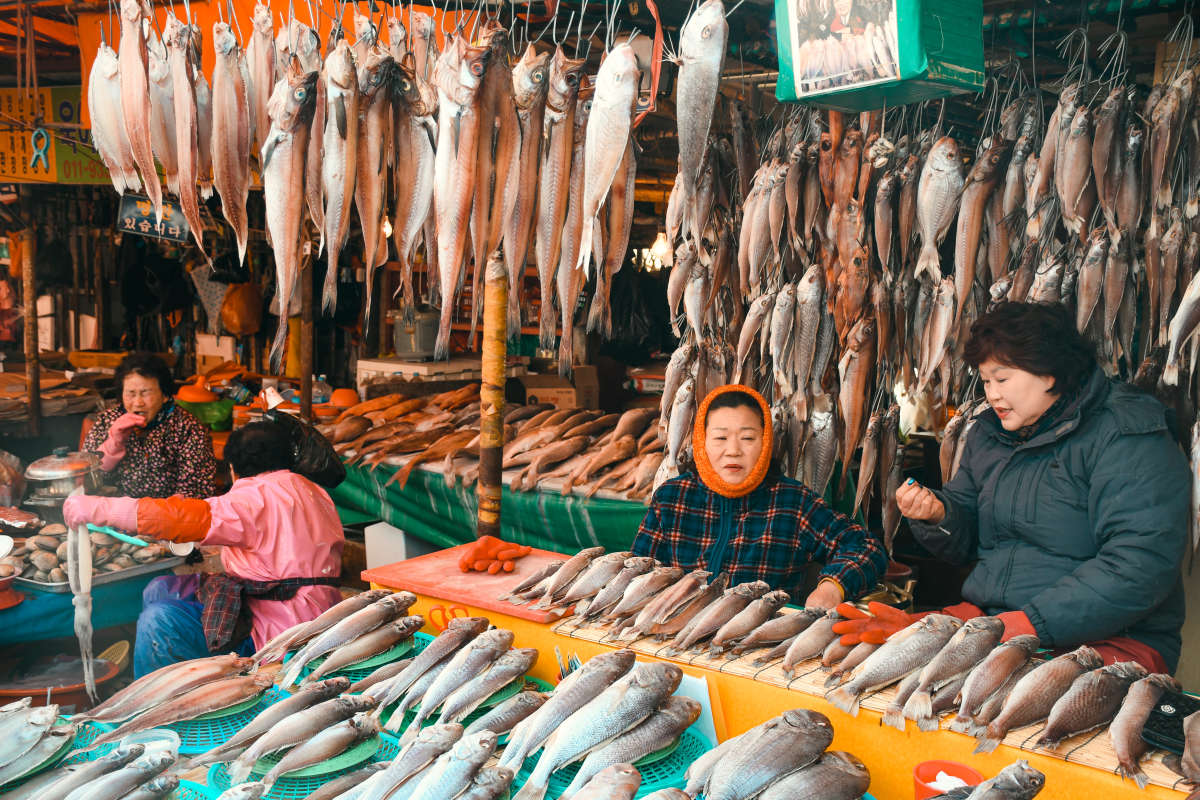 Busan\x27s Jagalchi Fish Market