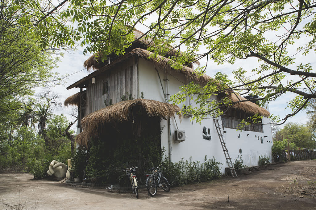 Rabbit Tree Hostel