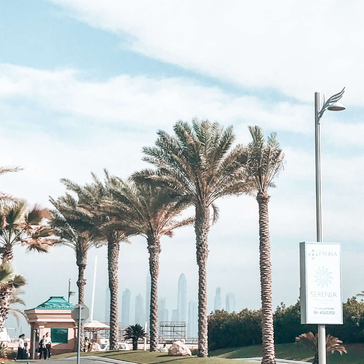 Palm trees and skyline, not the usual view