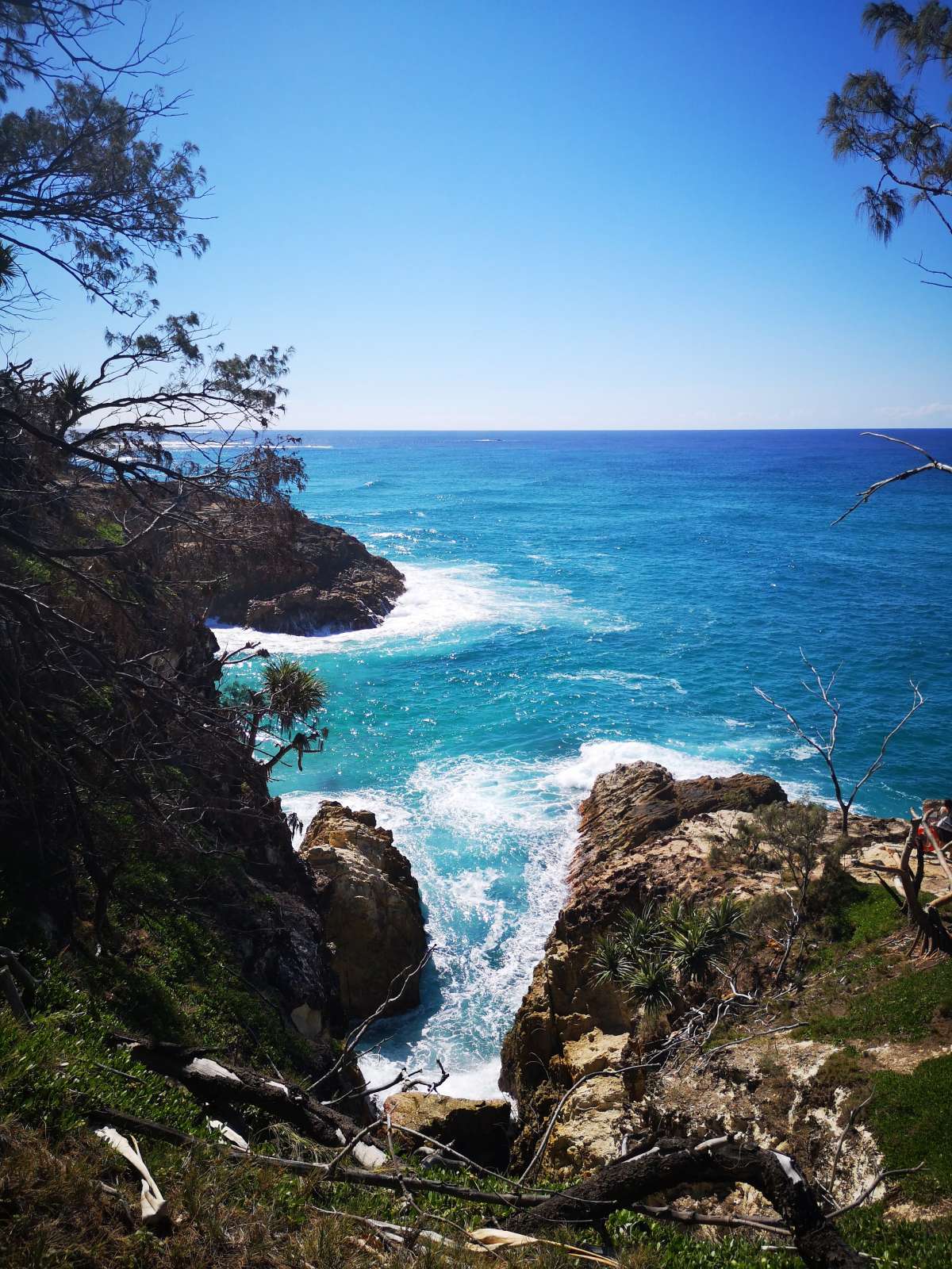 Shot during the North Gorge Walk. We\x27re getting close to whale season so if you\x27re planning a trip soon, keep your eyes (and ears)peeled.