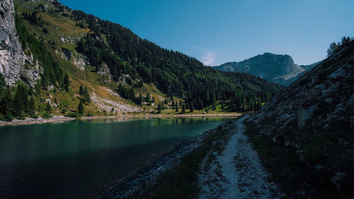 Take a walk around the lake