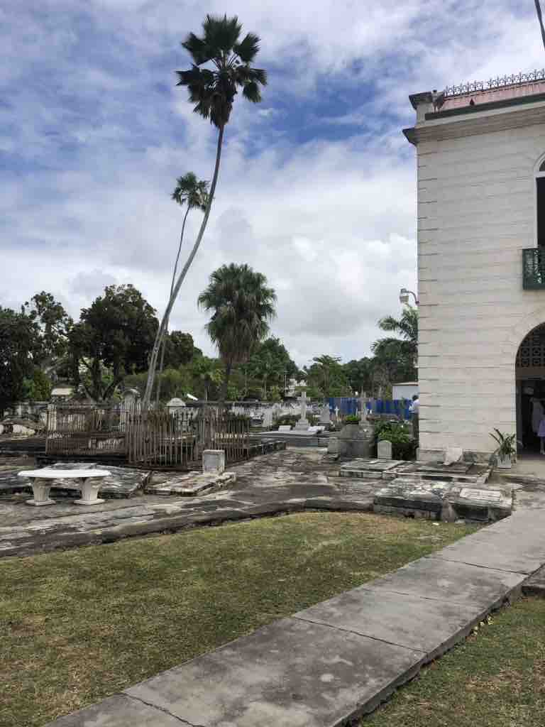 The cemetery 