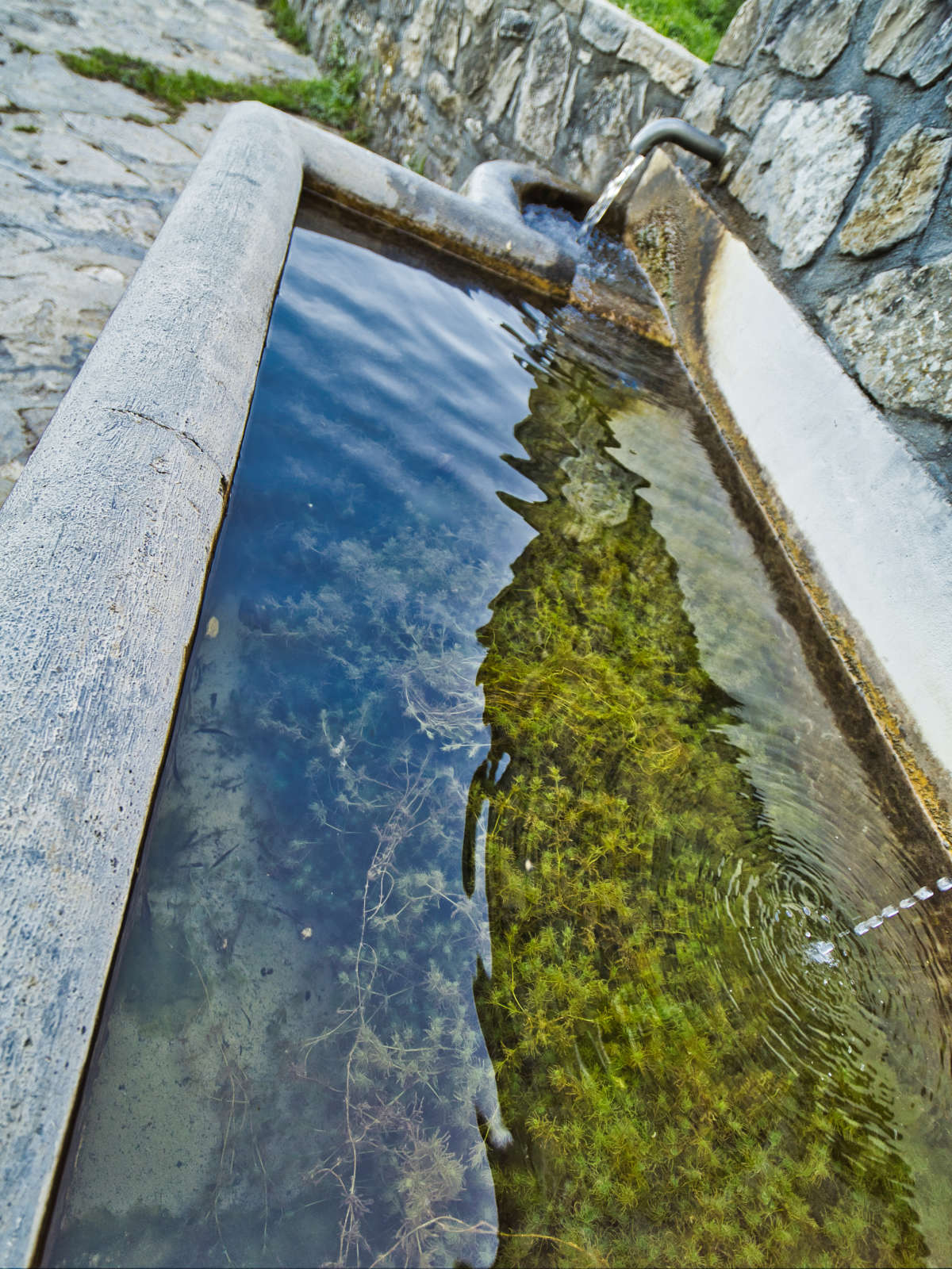 mountain spring water