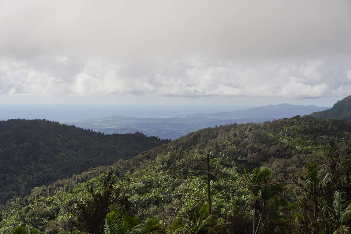 Views to the South East.