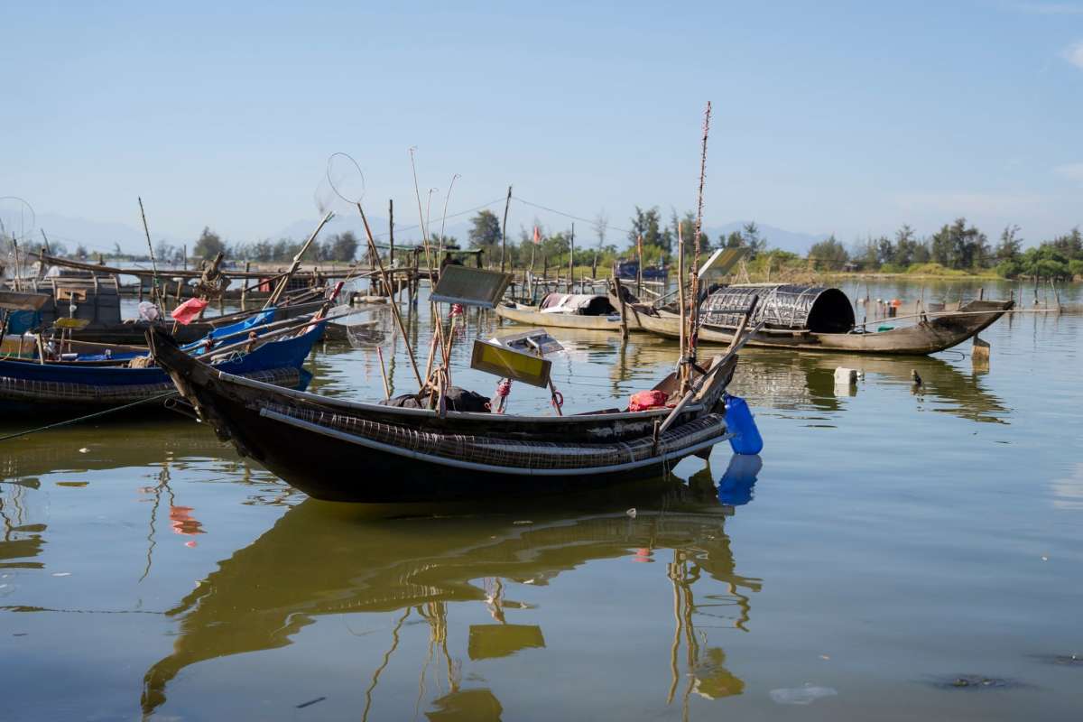 Local fishing boats