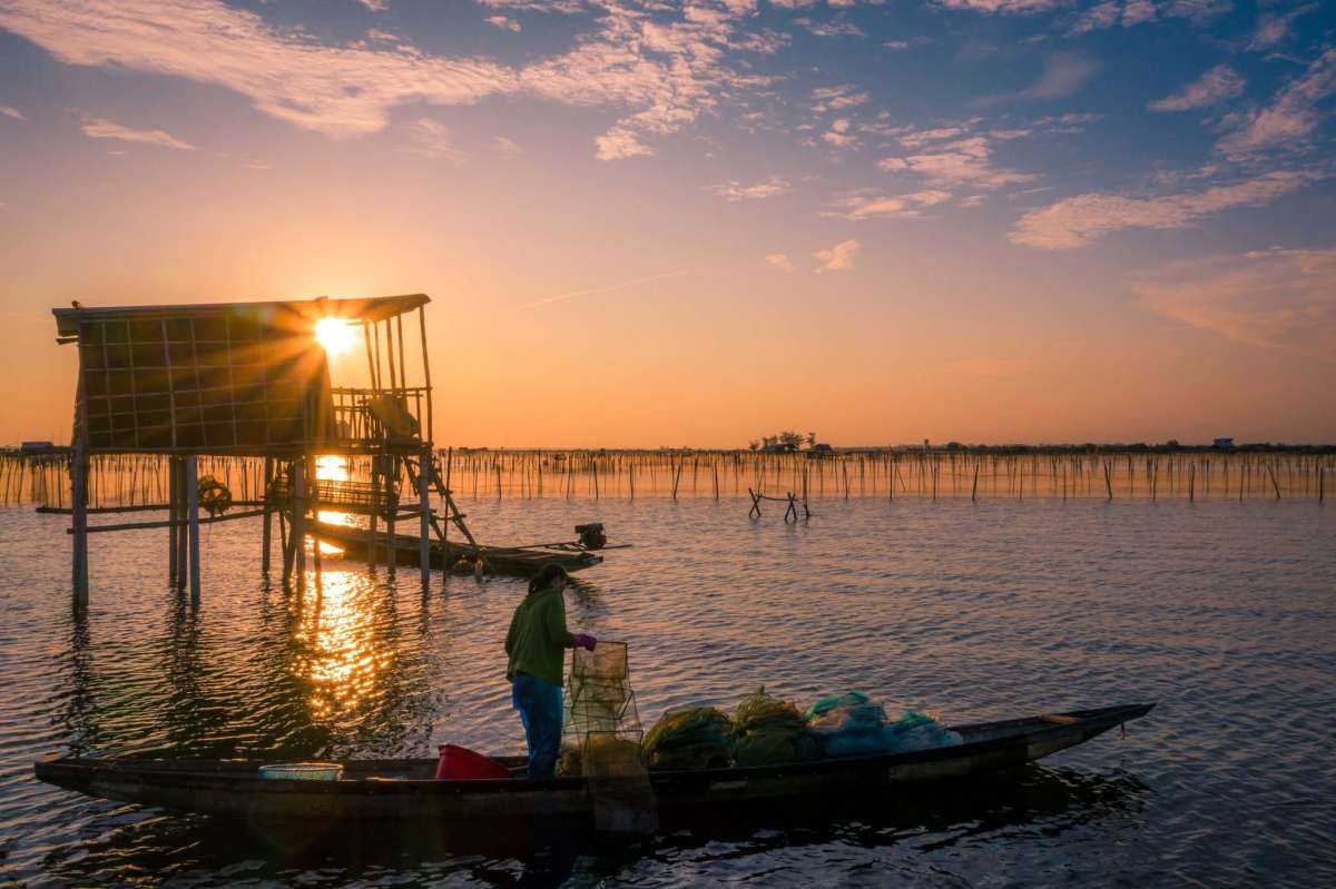 setting up the fishing traps on the lagoon