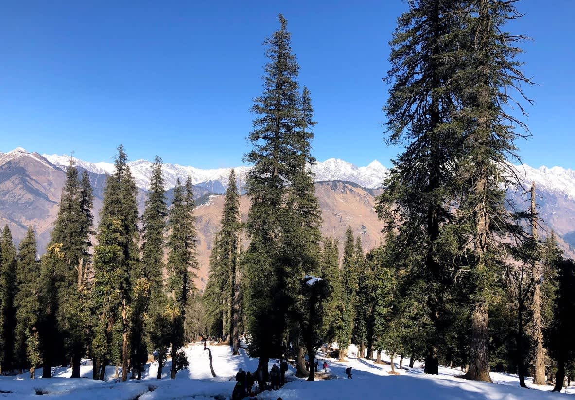 Image Credit: Sunil Variyar