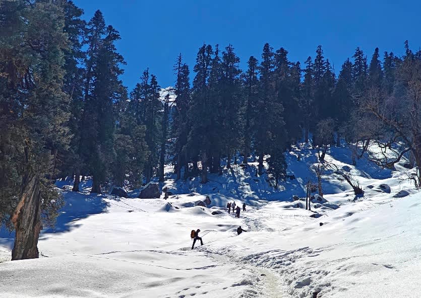 Trekking to Kuari Pass in Winter