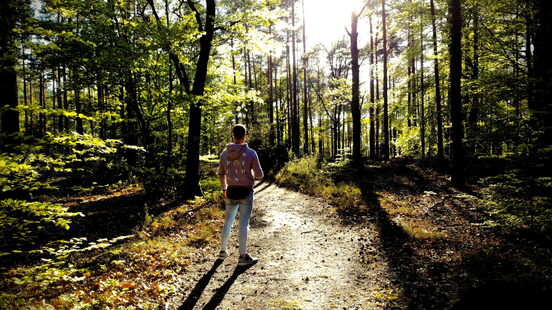 Story Cover Image
