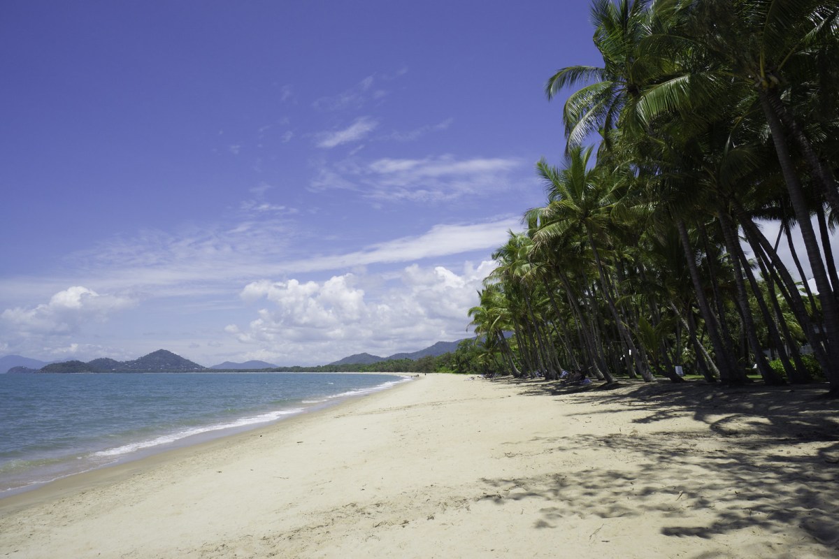 Tropical Beach Near Cairns