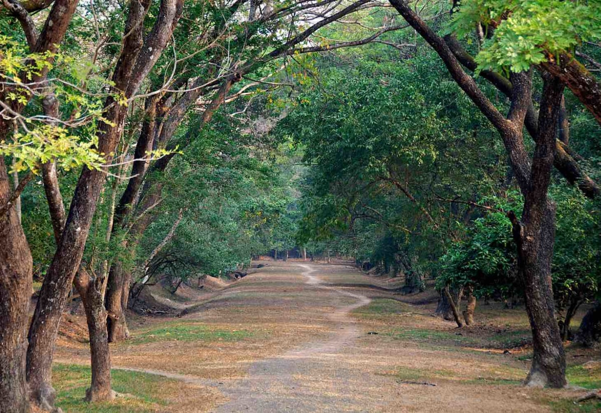 Winding pathway