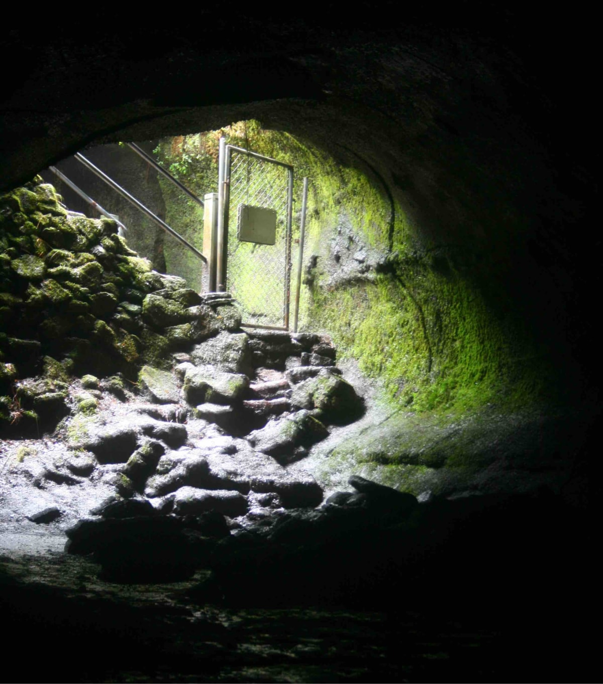Inside the Tube