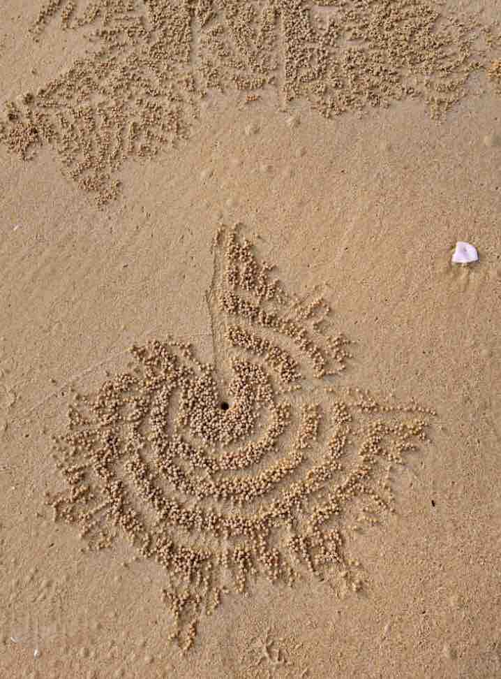 Sand Circles?