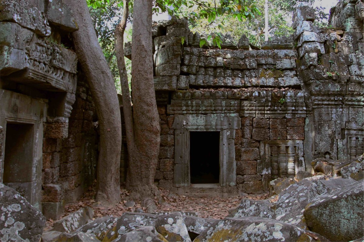 Trees growing around the temple
