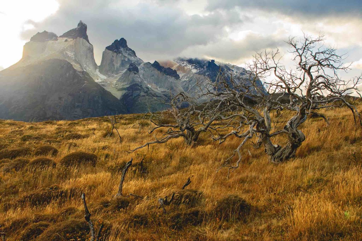 Torres del Paine