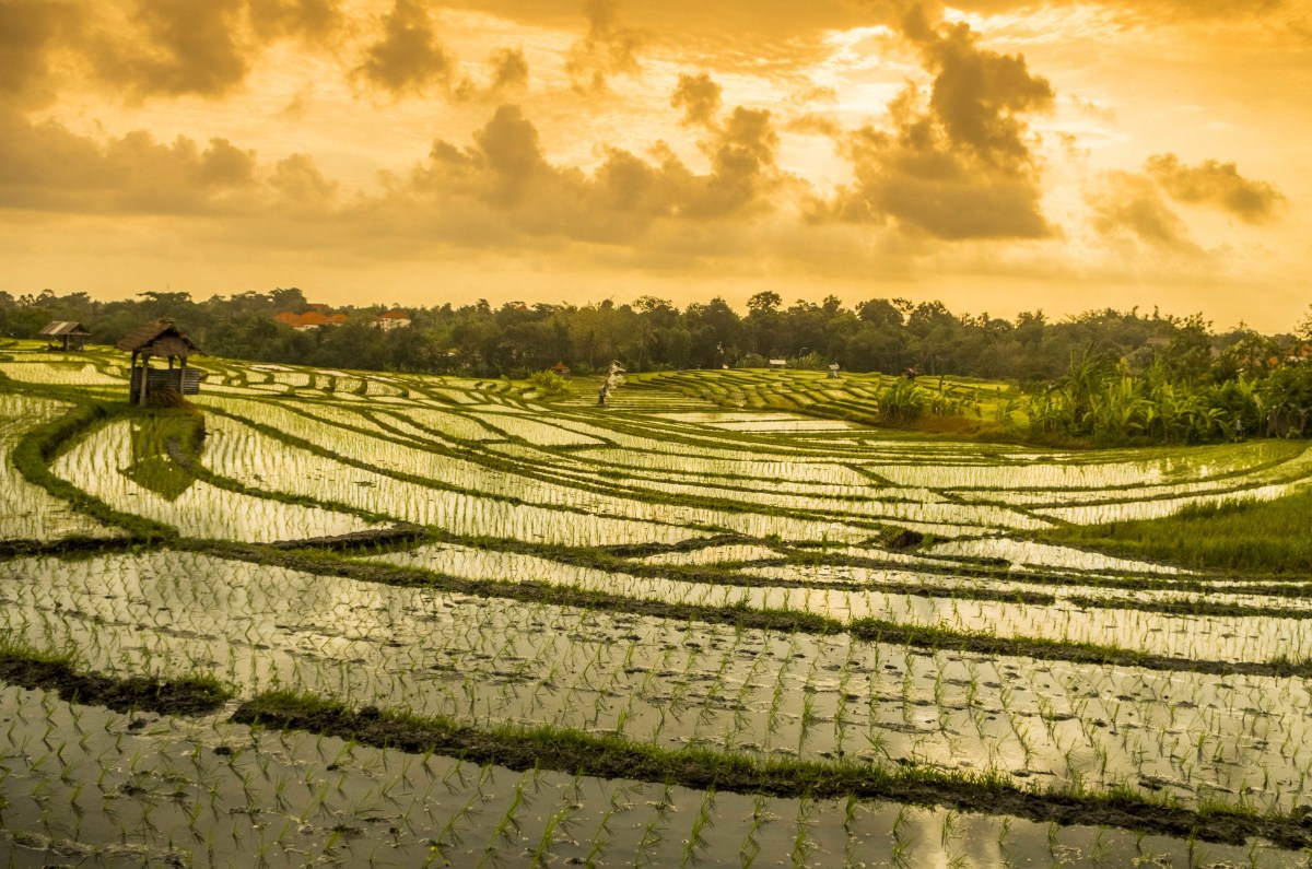Bali Wakeboard Park Story Hero Traveler