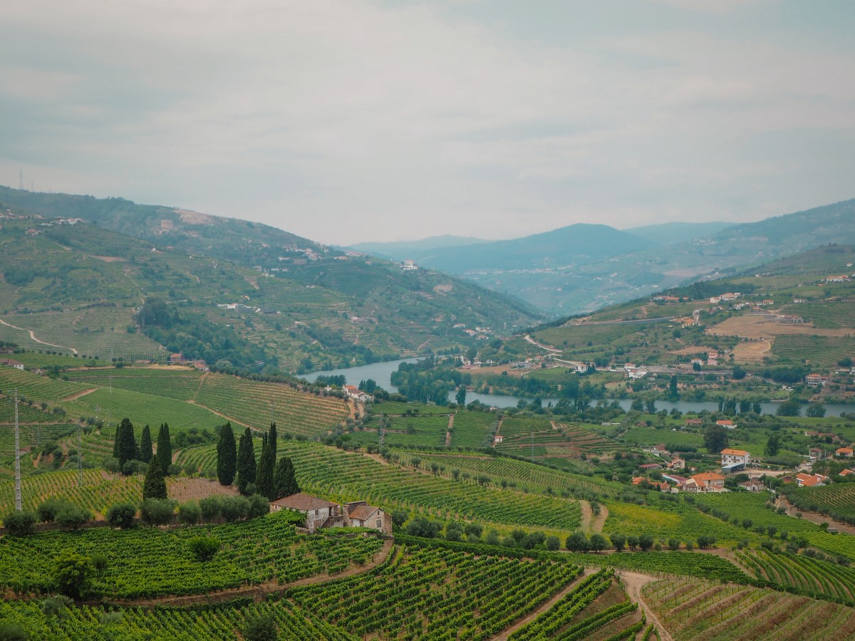 The beatufil lanscape in the Douro Valley.