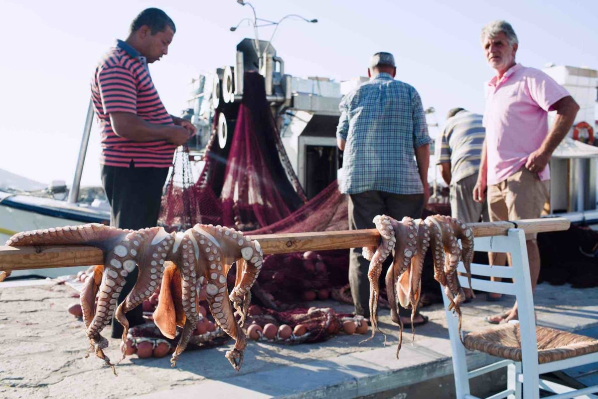 Fishermen and their haul.