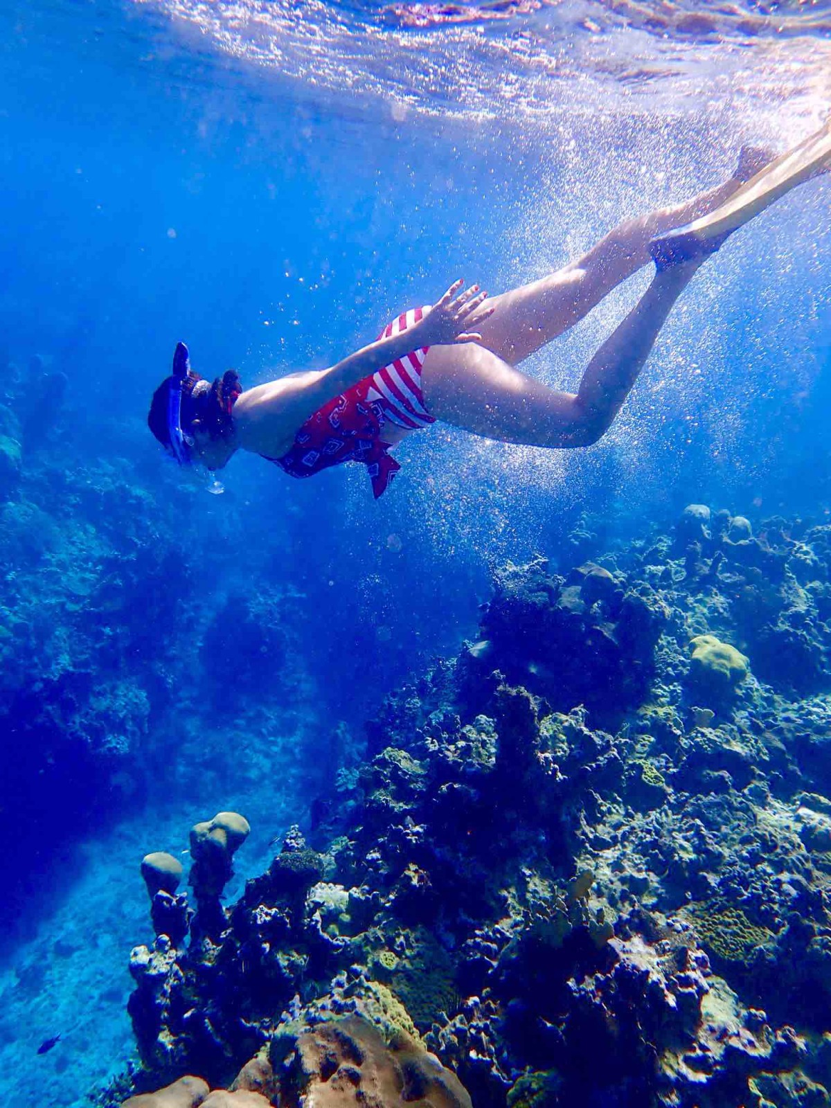 snorkeler’s cove