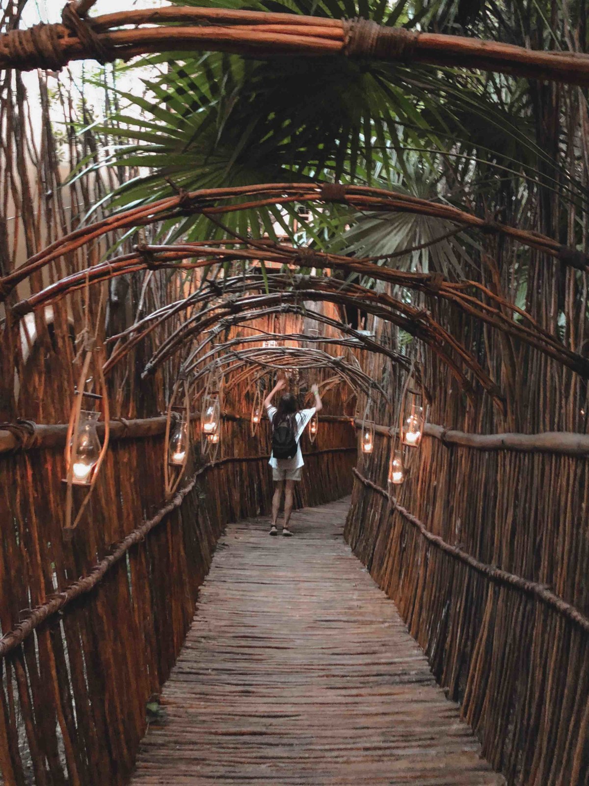 This is one of the alley inside the jungle.