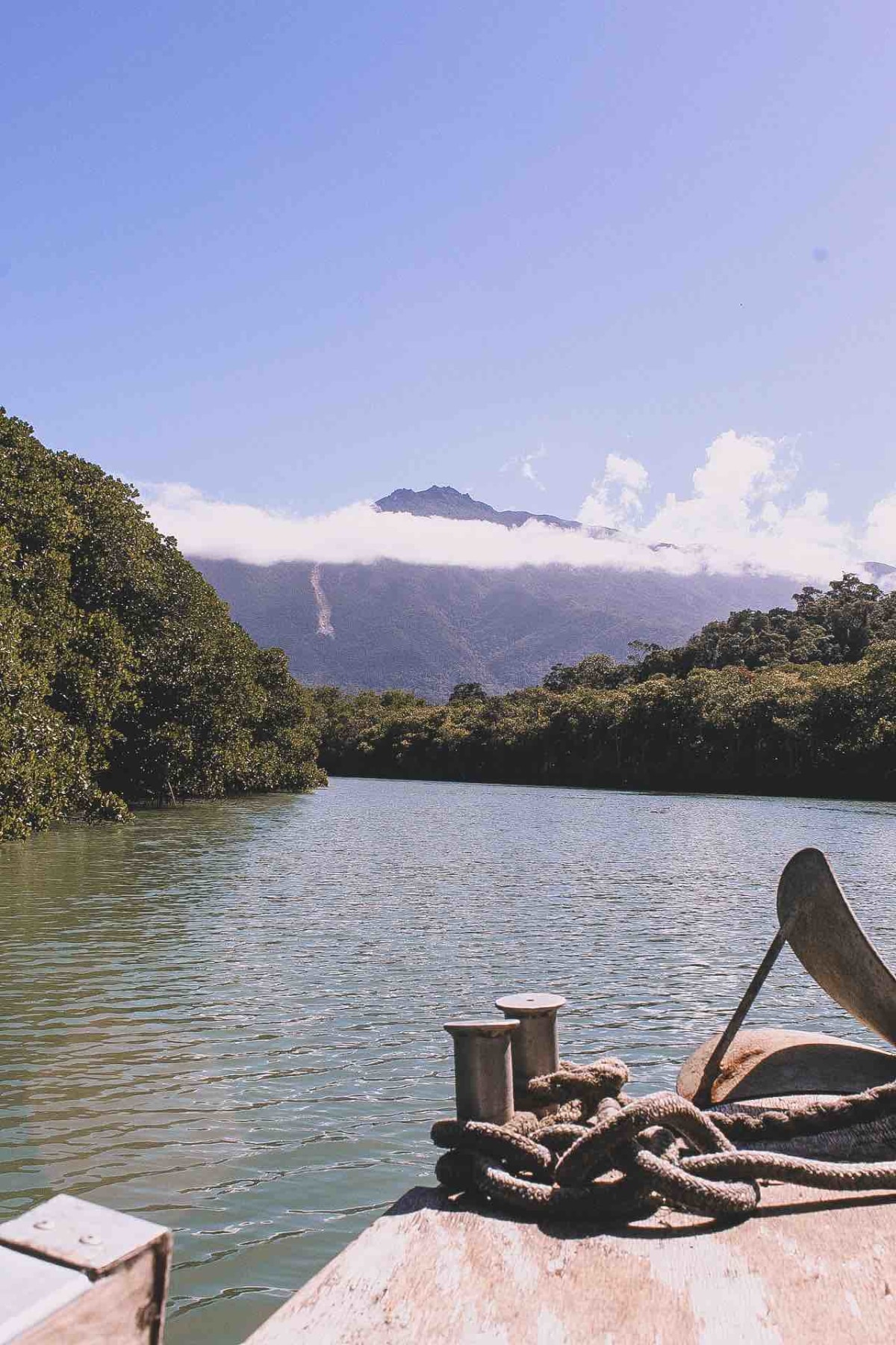 Cruising the Daintree river