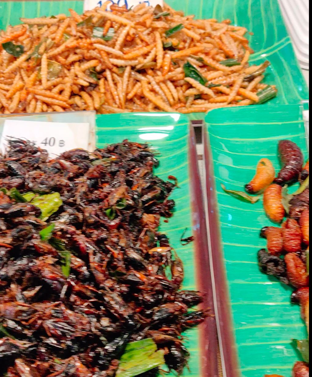 Fried worms, crickets
