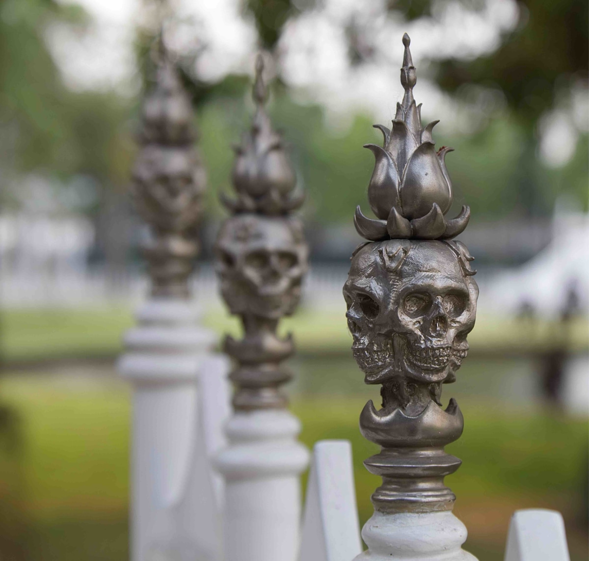 Skull detail on the fences