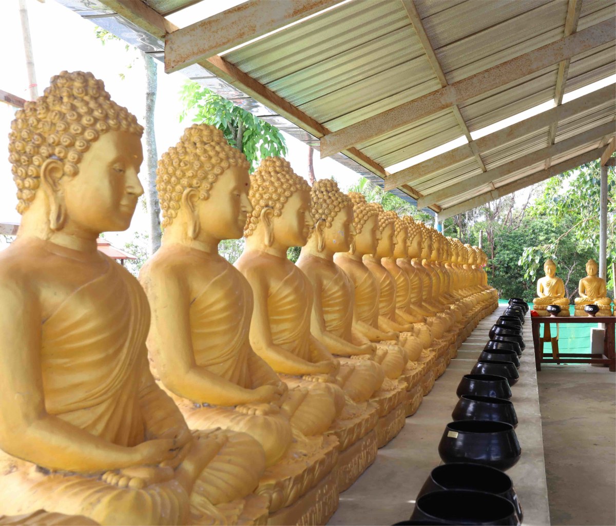 Thirty Two Gold Buddhas
