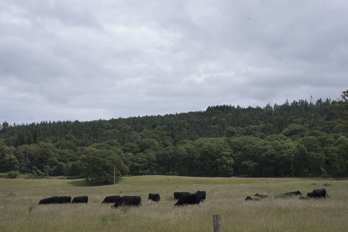 Killarney National Park