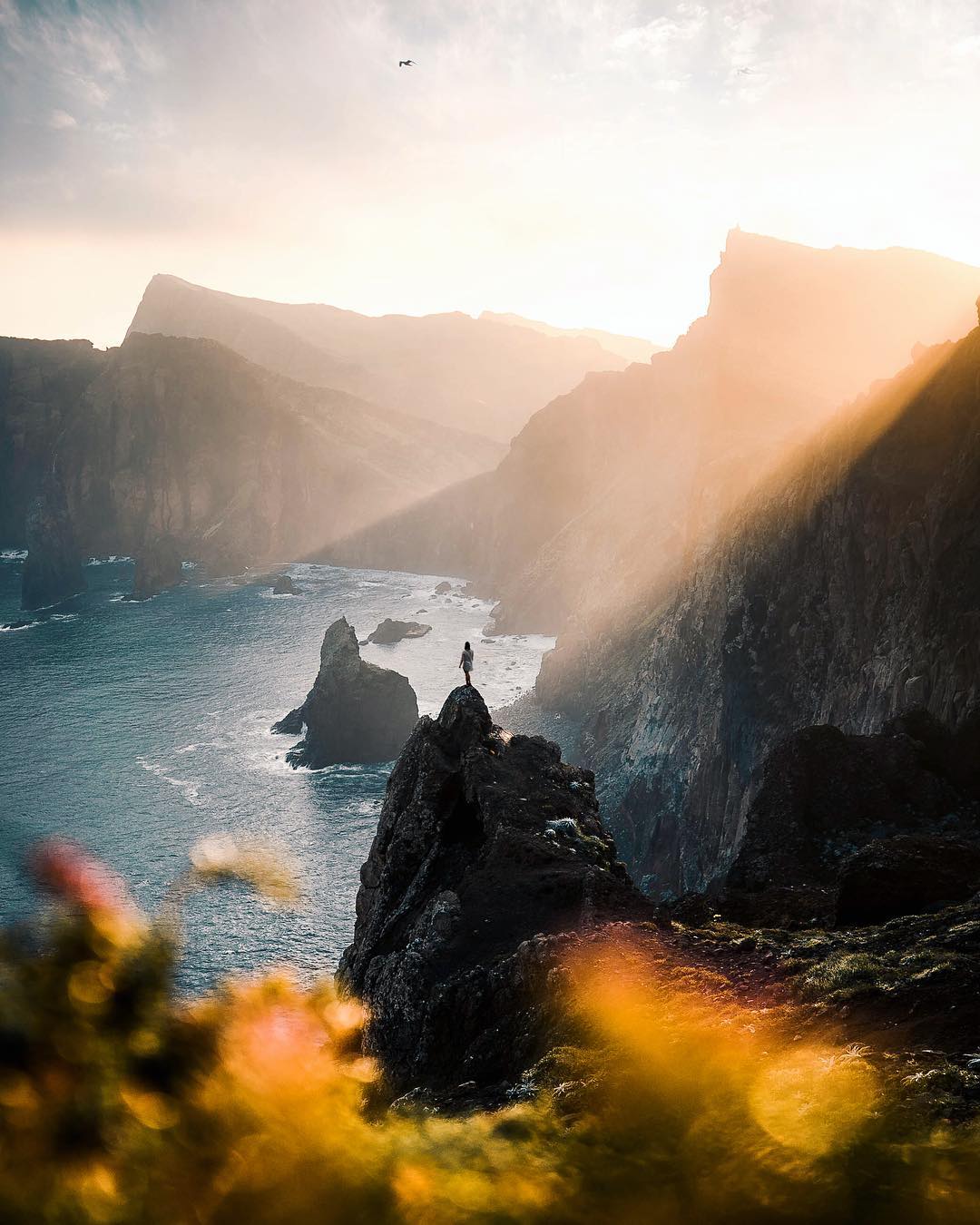 Views of the ocean