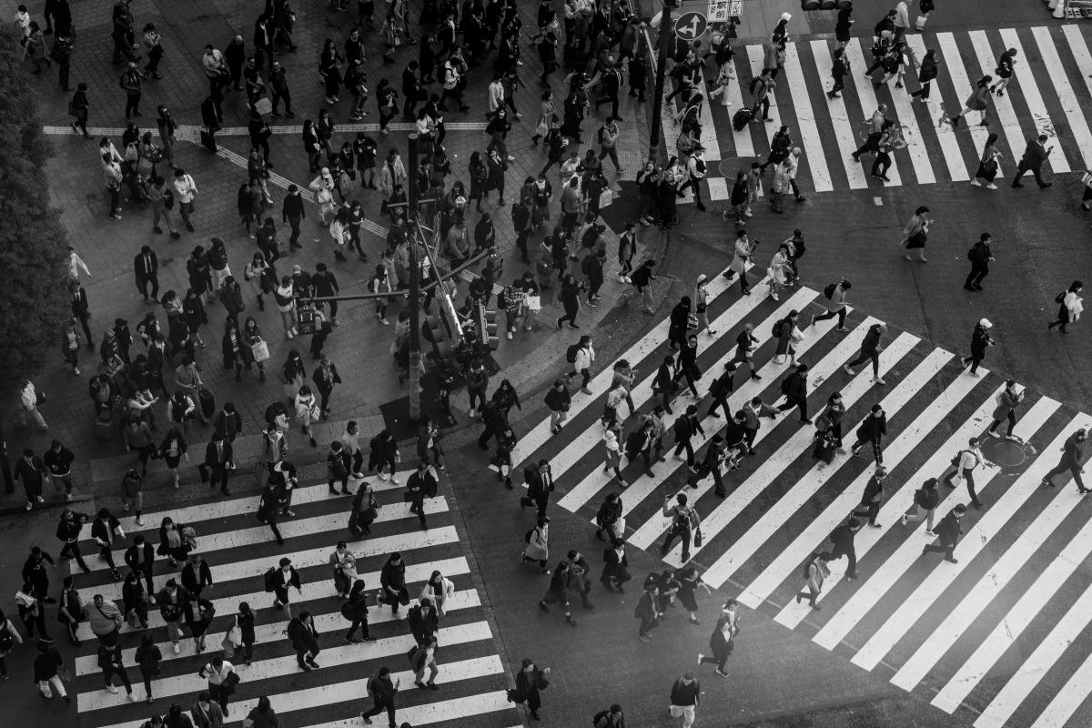 Shibuya Crossing Tokyo Story Hero Traveler