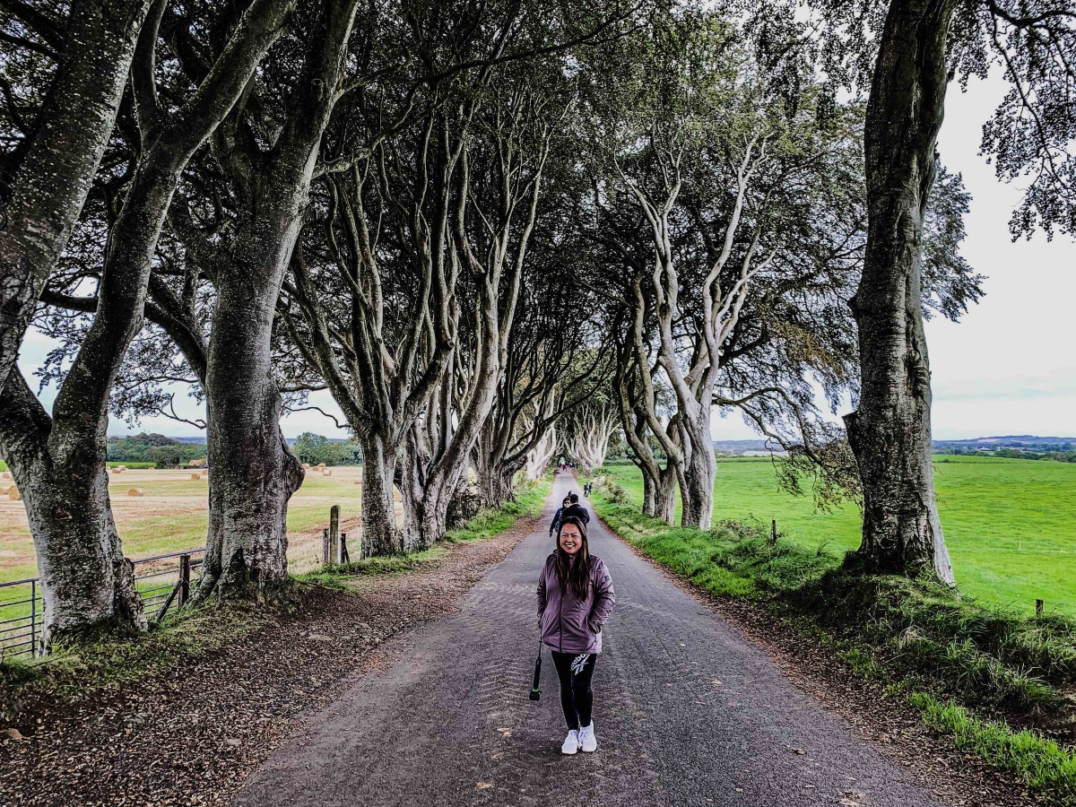 The Dark Hedges