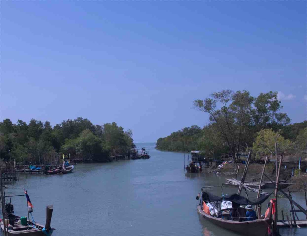 Local Fisherman
