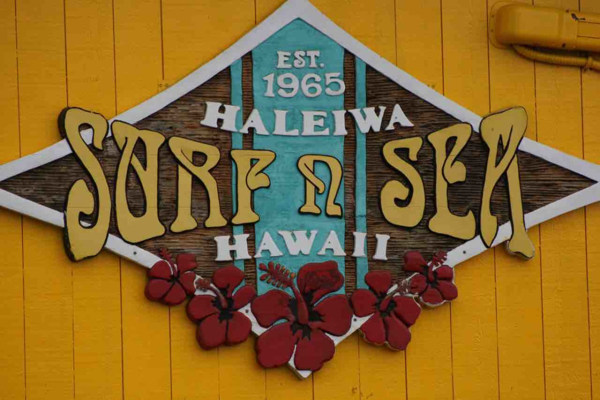 Local Surf Shop
