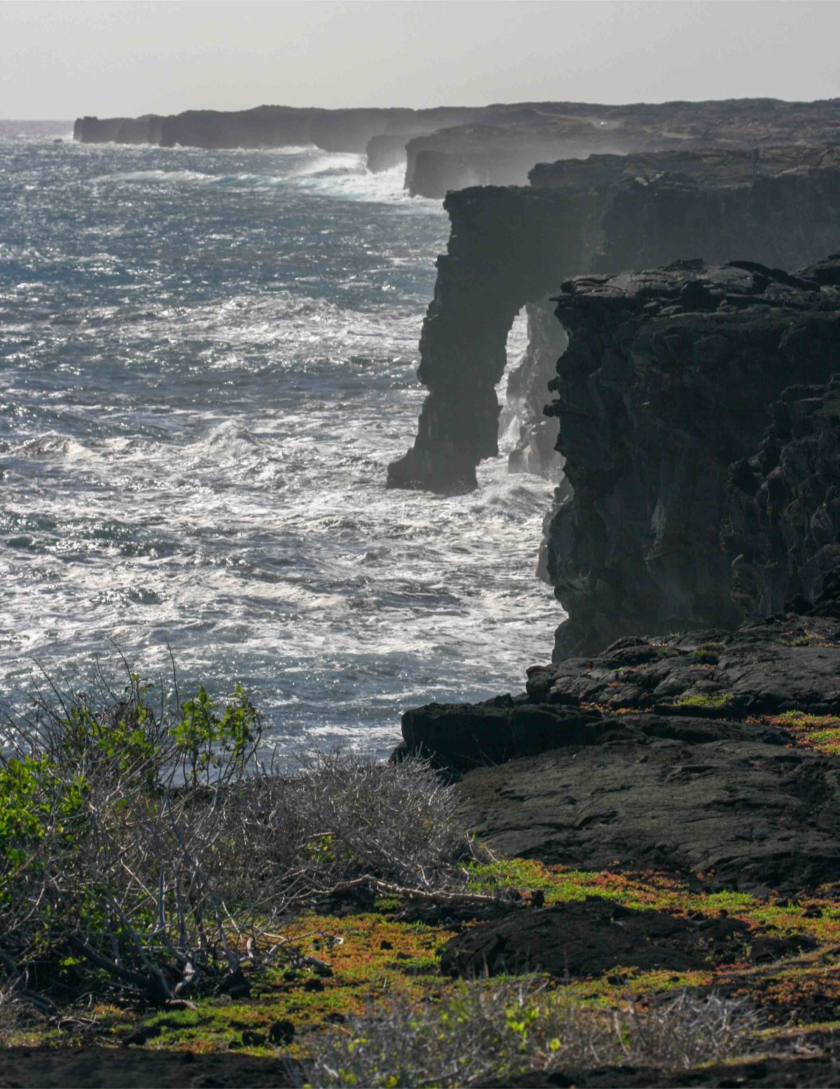 Arches Along the Coastline