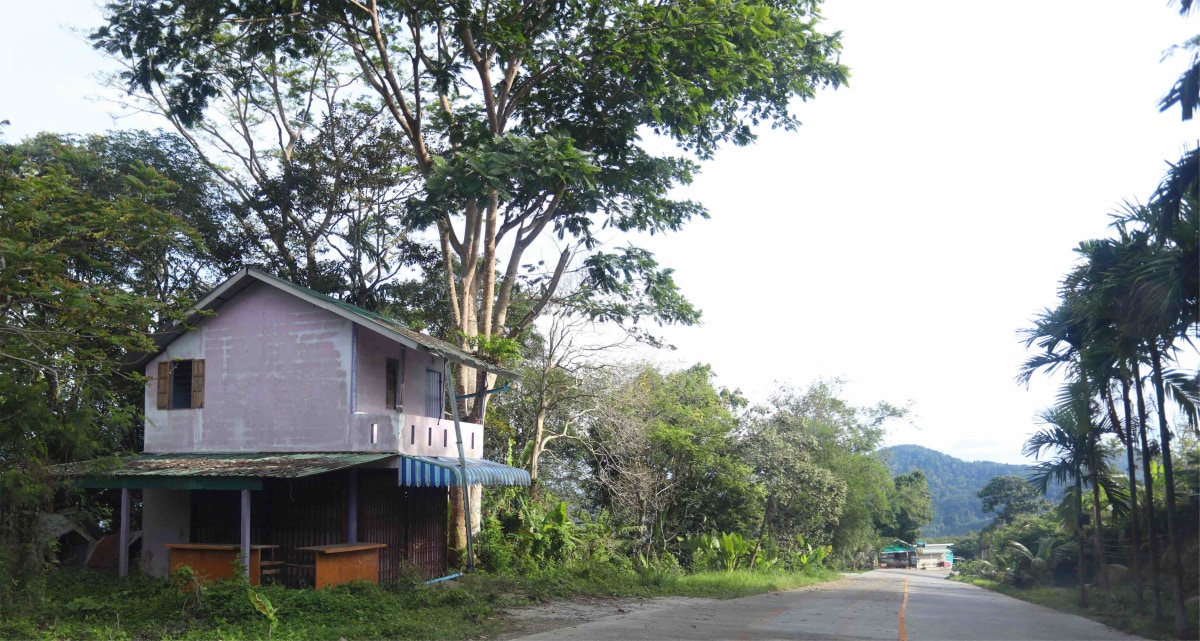 Local House