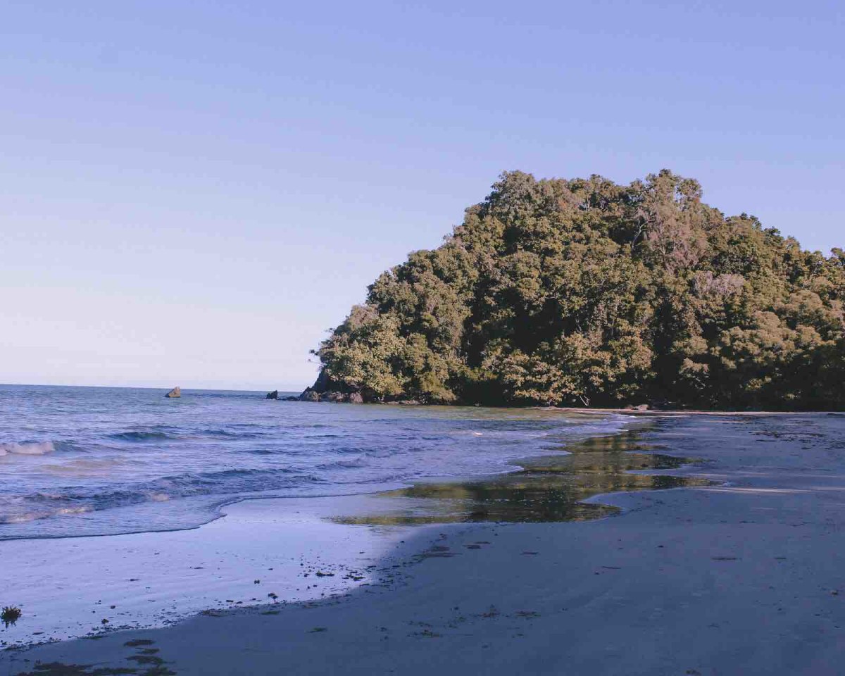 Reef and rainforest