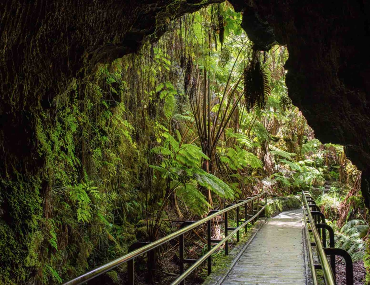 Near the Lava Tube