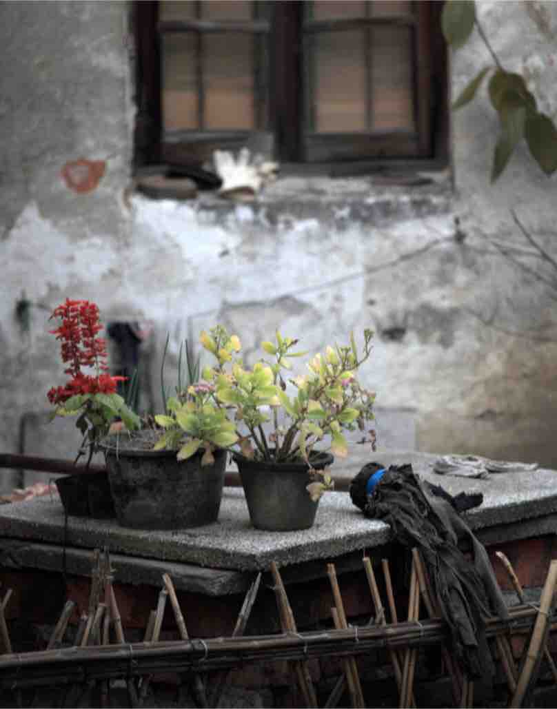Flowers on a balcony