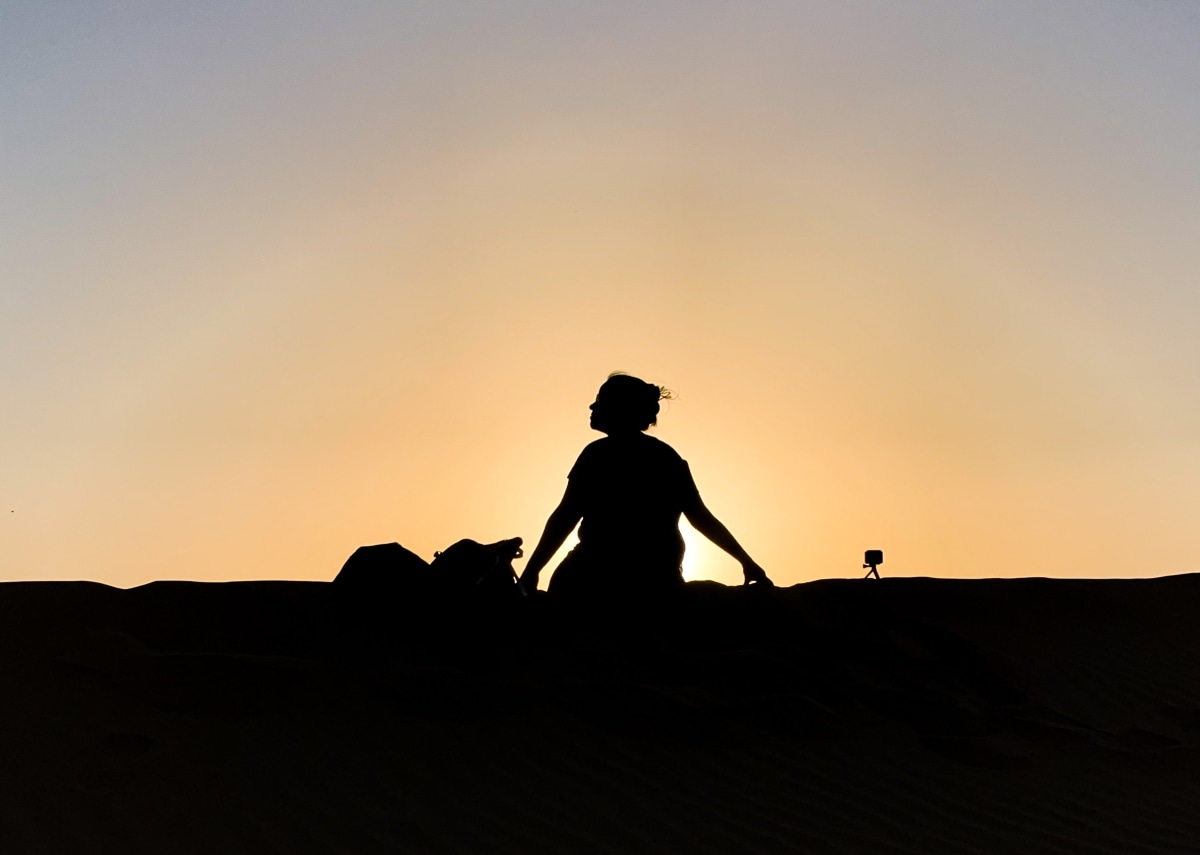 silhouette view of a traveler