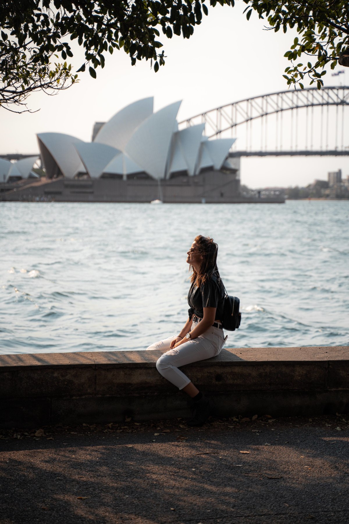 Mrs Macquarie\x27s Chair - VIEWS