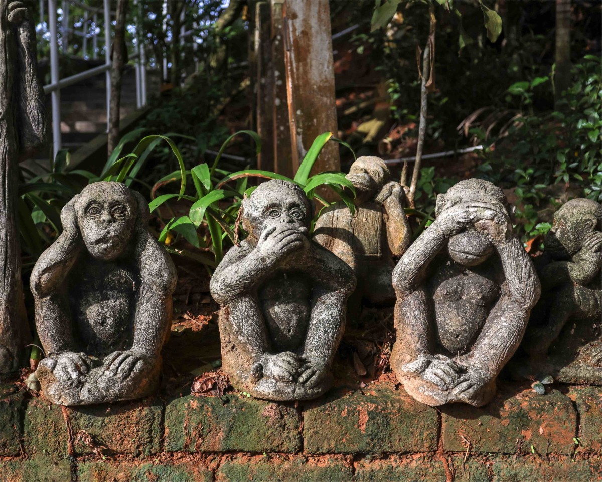 Hear, See and Speak No Evil
