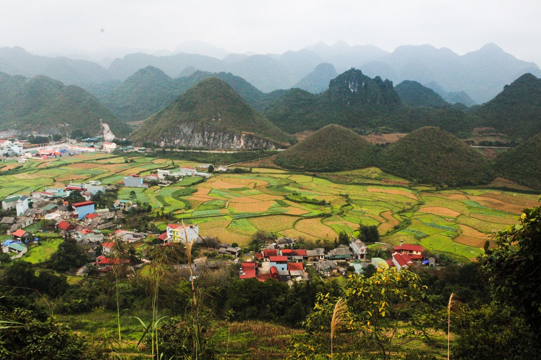 Quan Ba View