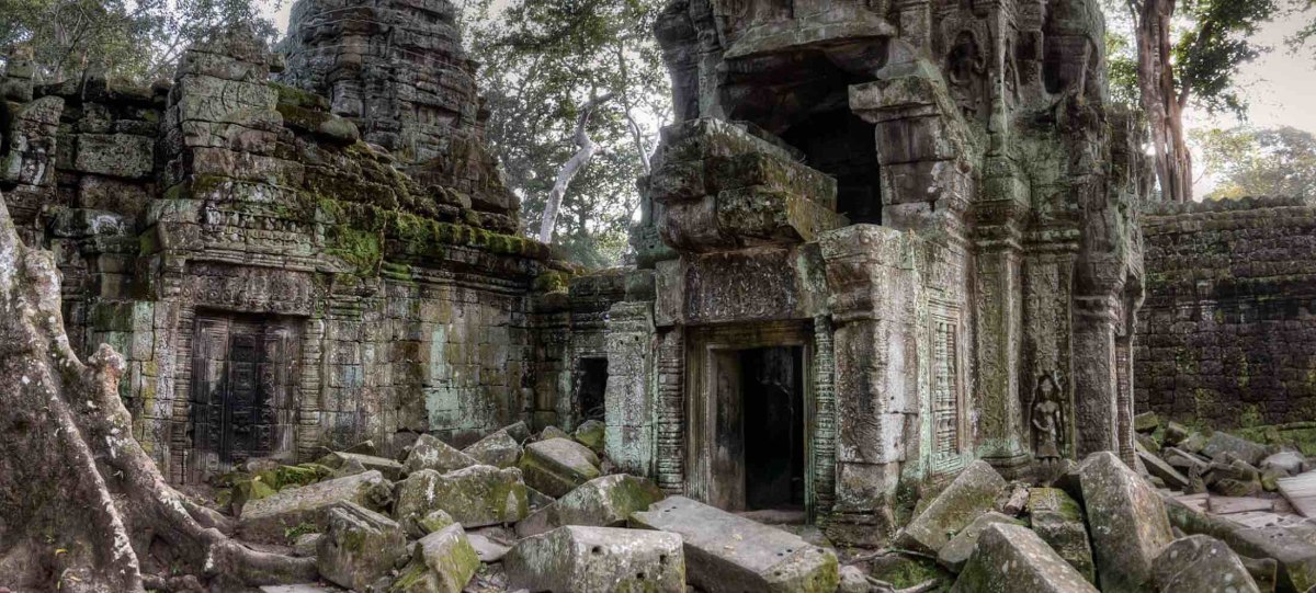 Amazing architecture with nature hugging it